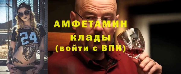 твердый Вяземский
