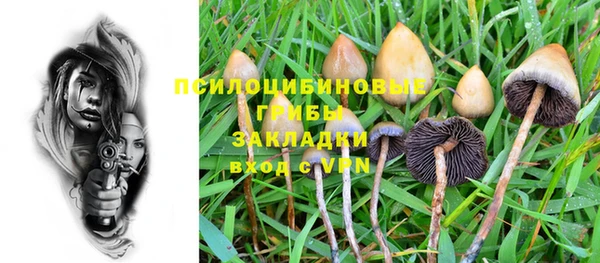 винт Алексин