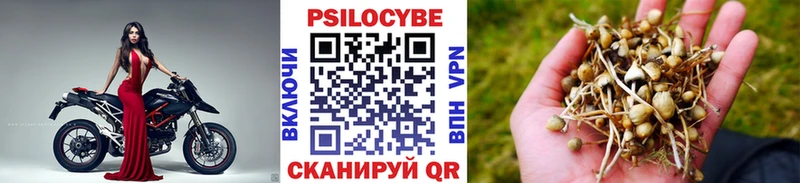 цена   Заринск  дарк нет какой сайт  Галлюциногенные грибы Magic Shrooms 