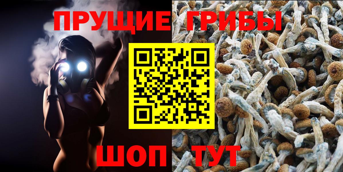 Заринск  наркотики  Вход с VPN  Псилоцибиновые грибы GOLDEN TEACHER 